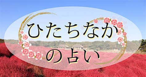 半田 占い|半田市の本当に当たる凄腕の占いはココ｜人気と実力の3選